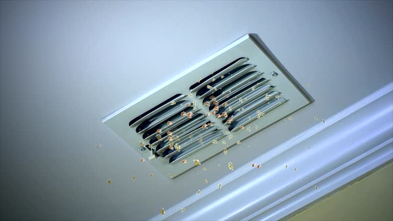 Best Air Duct Cleaning Near Me  in Lisbon, ND
