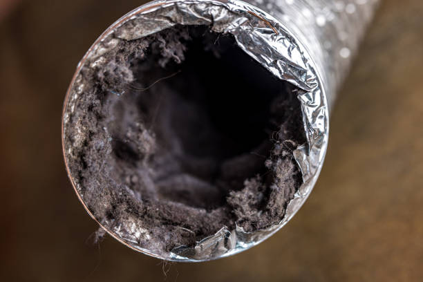 Best General Air Duct Cleaning  in Lisbon, ND